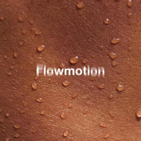 Flowmotion preview